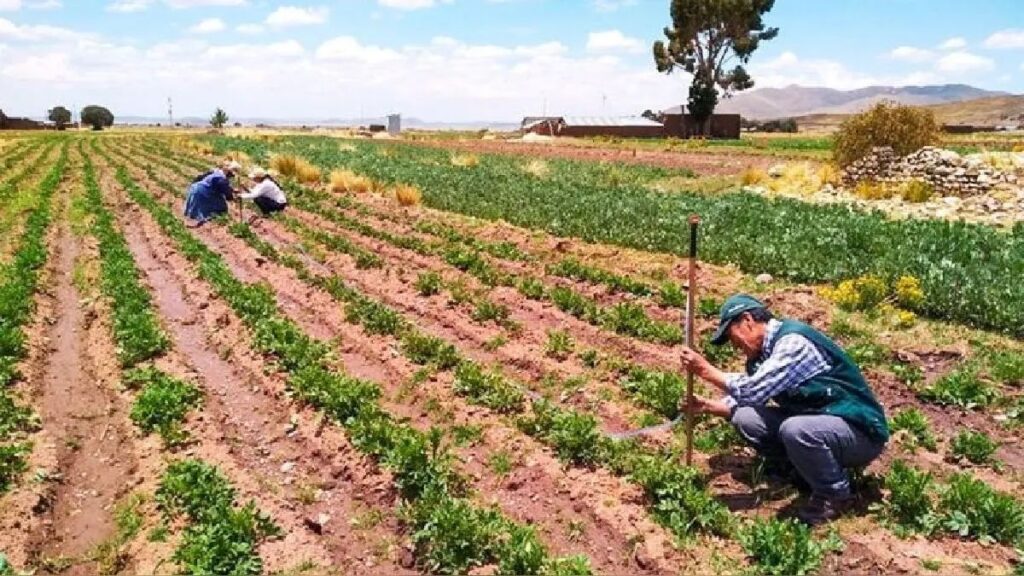 Congreso evaluará nueva Ley de Promoción Agraria para fortalecer la inversión en el campo