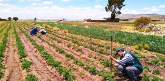 Congreso evaluará nueva Ley de Promoción Agraria para fortalecer la inversión en el campo Congreso evaluará nueva Ley de Promoción Agraria para fortalecer la inversión en el campo