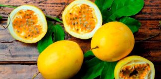 Exportaciones de maracuyá crecieron 43% en volumen durante marzo de 2025 Exportaciones de maracuyá crecieron 43% en volumen durante marzo de 2025