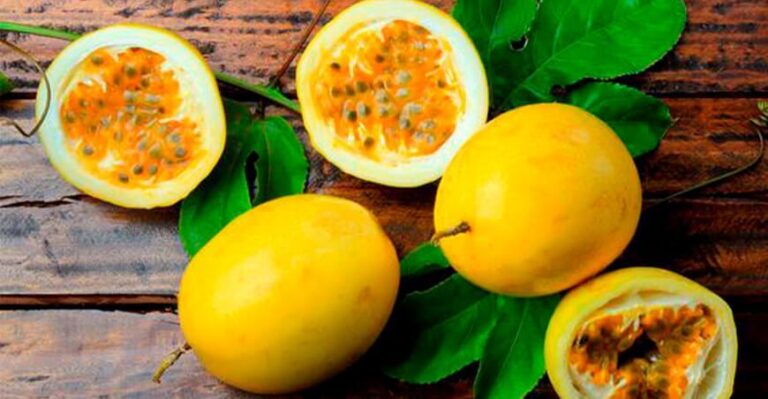 Exportaciones de maracuyá crecieron 43% en volumen durante marzo de 2025