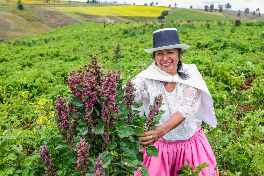 Ley de industrialización de granos andinos impulsará la agricultura familiar