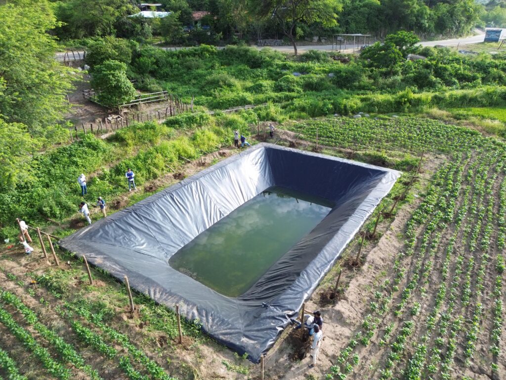 Instalan más de 950 reservorios en la sierra de Piura para asegurar riego agrícola todo el año