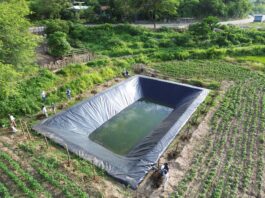 Instalan más de 950 reservorios en la sierra de Piura para asegurar riego agrícola todo el año Instalan más de 950 reservorios en la sierra de Piura para asegurar riego agrícola todo el año