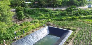 Instalan más de 950 reservorios en la sierra de Piura para asegurar riego agrícola todo el año Instalan más de 950 reservorios en la sierra de Piura para asegurar riego agrícola todo el año