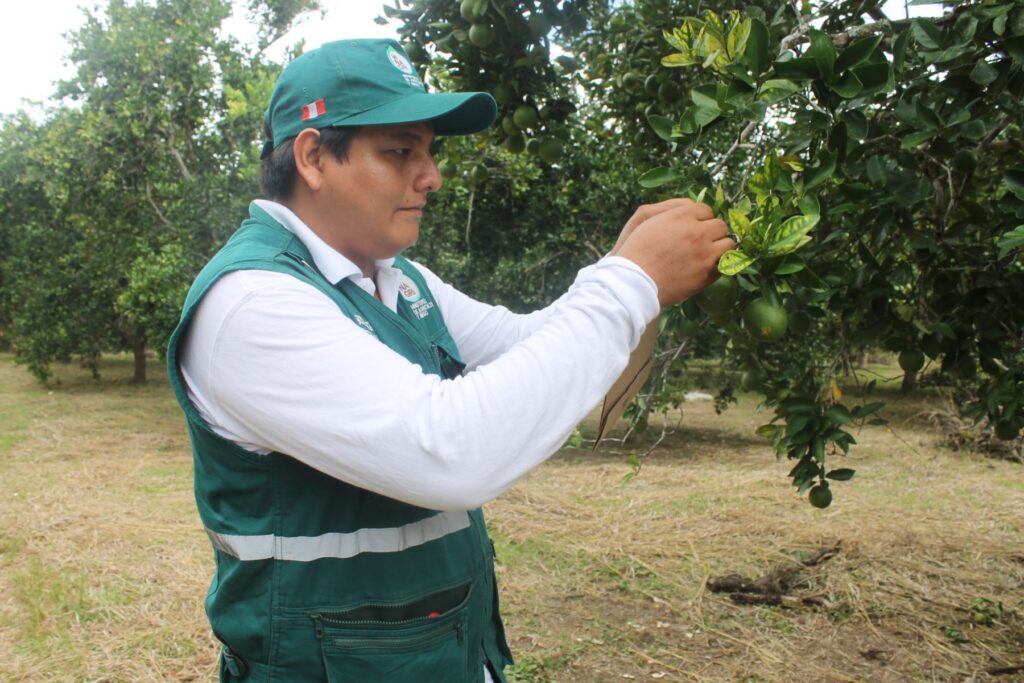 Midagri crea Nómina de Especialistas para agilizar evaluación ambiental en el sector agropecuario