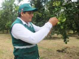 Midagri crea Nómina de Especialistas para agilizar evaluación ambiental en el sector agropecuario Midagri crea Nómina de Especialistas para agilizar evaluación ambiental en el sector agropecuario
