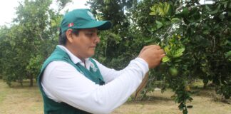 Midagri crea Nómina de Especialistas para agilizar evaluación ambiental en el sector agropecuario Midagri crea Nómina de Especialistas para agilizar evaluación ambiental en el sector agropecuario