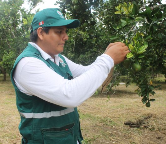 Midagri crea Nómina de Especialistas para agilizar evaluación ambiental en el sector agropecuario Midagri crea Nómina de Especialistas para agilizar evaluación ambiental en el sector agropecuario