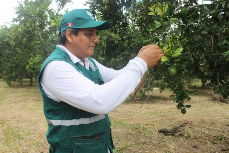 Midagri crea Nómina de Especialistas para agilizar evaluación ambiental en el sector agropecuario