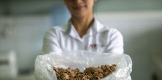 Perú fue el noveno proveedor agroindustrial de EE. UU. en 2024, pero enfrenta riesgos por política arancelaria Perú fue el noveno proveedor agroindustrial de EE. UU. en 2024, pero enfrenta riesgos por política arancelaria