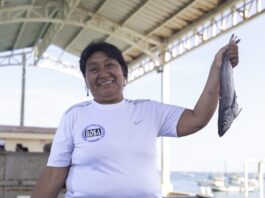 Piura: Mujeres emprendedoras transforman residuos de pescado en biofertilizantes ecológicos Piura Mujeres emprendedoras transforman residuos de pescado en biofertilizantes ecológicos