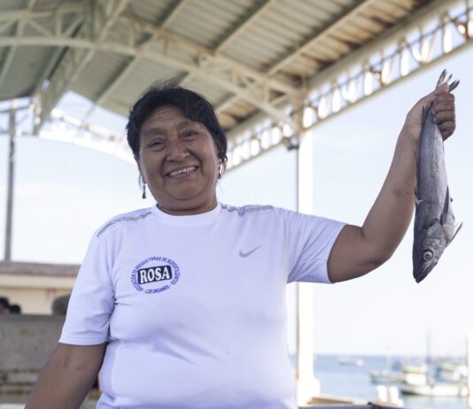 Piura: Mujeres emprendedoras transforman residuos de pescado en biofertilizantes ecológicos Piura Mujeres emprendedoras transforman residuos de pescado en biofertilizantes ecológicos