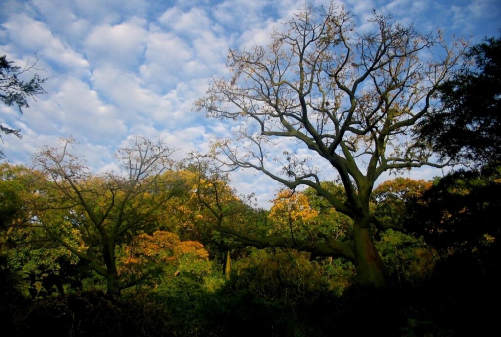 Piura apuesta por la biodiversidad con una red de áreas protegidas en expansión