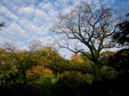 Piura apuesta por la biodiversidad con una red de áreas protegidas en expansión Piura apuesta por la biodiversidad con una red de áreas protegidas en expansión