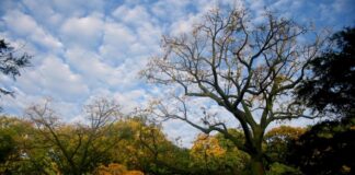 Piura apuesta por la biodiversidad con una red de áreas protegidas en expansión Piura apuesta por la biodiversidad con una red de áreas protegidas en expansión