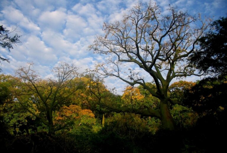 Piura apuesta por la biodiversidad con una red de áreas protegidas en expansión
