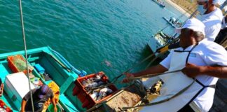 Produce actualiza el reglamento sanitario para la pesca y la acuicultura Produce actualiza el reglamento sanitario para la pesca y la acuicultura