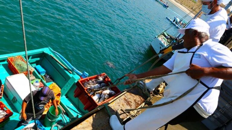 Produce actualiza el reglamento sanitario para la pesca y la acuicultura