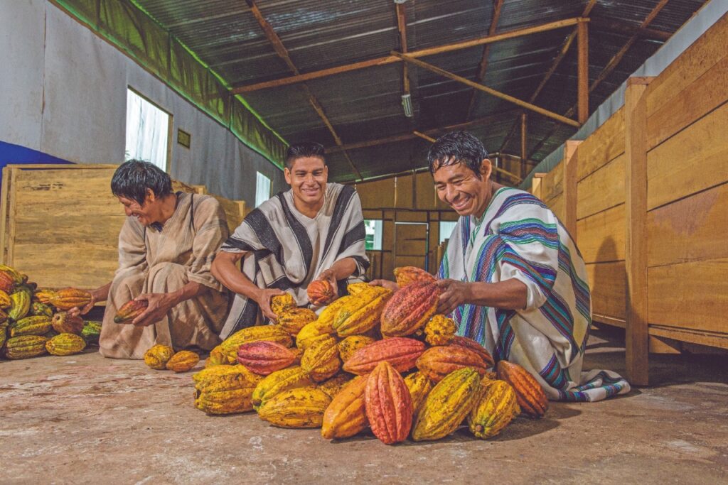 Productores del agro podrán acceder a créditos sin título de propiedad con nuevo mecanismo financiero