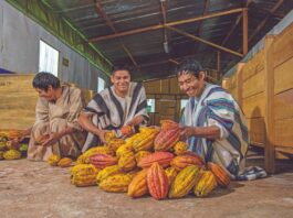 Productores del agro podrán acceder a créditos sin título de propiedad con nuevo mecanismo financiero Productores del agro podrán acceder a créditos sin título de propiedad con nuevo mecanismo financiero