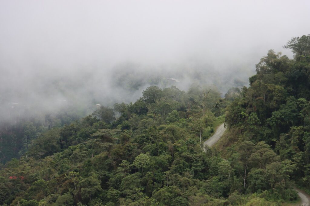 Cajamarca alista su quinta Área de Conservación Regional en Jaén para proteger bosques montanos