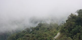 Cajamarca alista su quinta Área de Conservación Regional en Jaén para proteger bosques montanos Cajamarca alista su quinta Área de Conservación Regional en Jaén para proteger bosques montanos