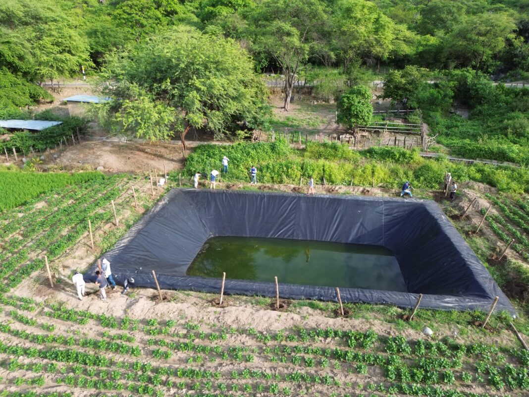Construyen 1 300 reservorios para garantizar riego a más de 14 000 agricultores
