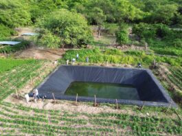 Construyen 1 300 reservorios para garantizar riego a más de 14 000 agricultores Construyen 1 300 reservorios para garantizar riego a más de 14 000 agricultores
