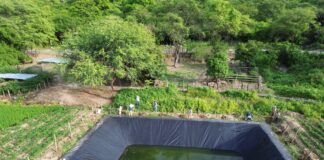 Construyen 1 300 reservorios para garantizar riego a más de 14 000 agricultores Construyen 1 300 reservorios para garantizar riego a más de 14 000 agricultores