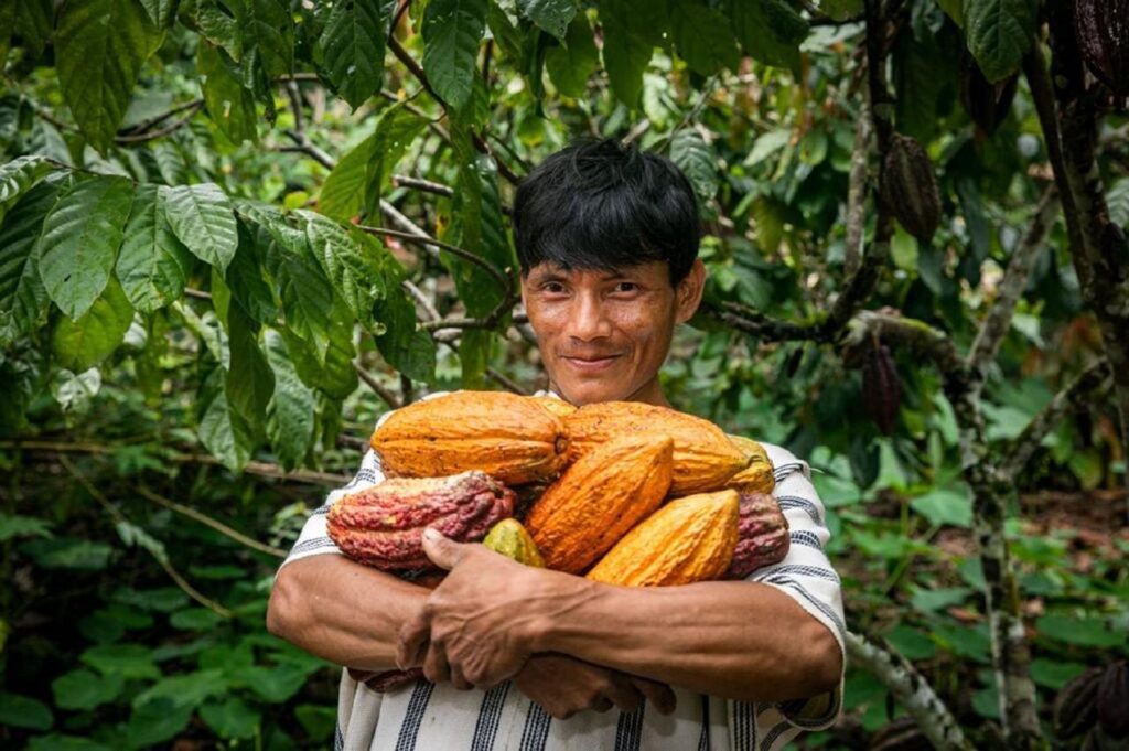 Agroexportaciones peruanas superaron los 2,233 millones de dólares durante el primer bimestre del año