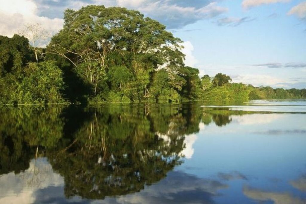 Día Mundial de la Tierra 2025: Perú se une al llamado global por el planeta