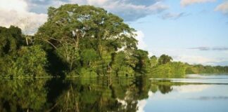 Día Mundial de la Tierra 2025: Perú se une al llamado global por el planeta Día Mundial de la Tierra 2025: Perú se une al llamado global por el planeta