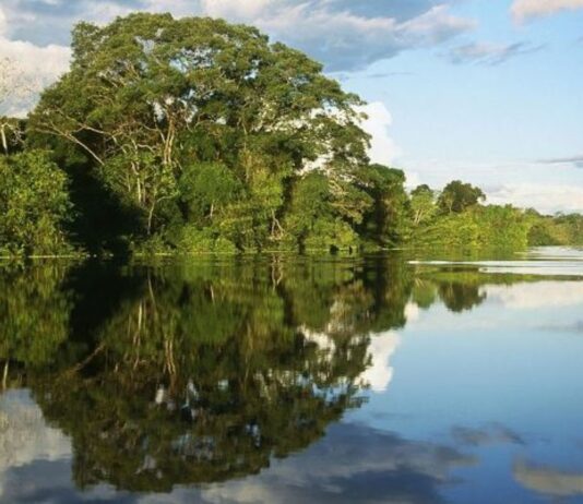 Día Mundial de la Tierra 2025: Perú se une al llamado global por el planeta Día Mundial de la Tierra 2025: Perú se une al llamado global por el planeta