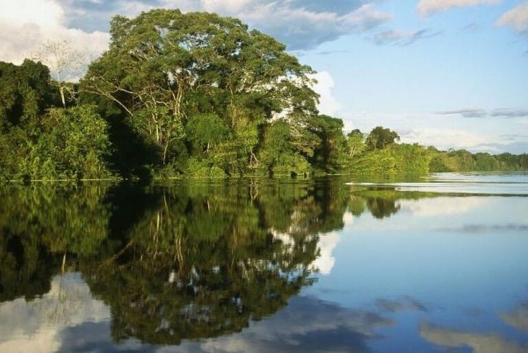 Día Mundial de la Tierra 2025: Perú se une al llamado global por el planeta