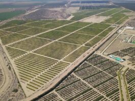 Gobierno impulsa proyecto Olmos para ampliar frontera agrícola y fortalecer agroexportaciones Gobierno impulsa proyecto Olmos para ampliar frontera agrícola y fortalecer agroexportaciones