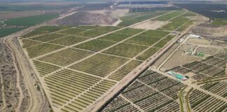 Gobierno impulsa proyecto Olmos para ampliar frontera agrícola y fortalecer agroexportaciones Gobierno impulsa proyecto Olmos para ampliar frontera agrícola y fortalecer agroexportaciones