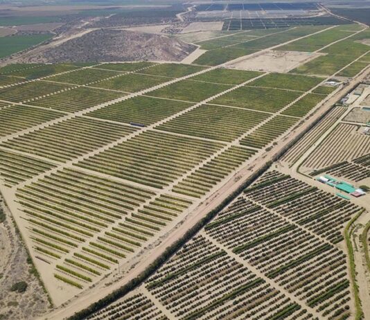 Gobierno impulsa proyecto Olmos para ampliar frontera agrícola y fortalecer agroexportaciones Gobierno impulsa proyecto Olmos para ampliar frontera agrícola y fortalecer agroexportaciones