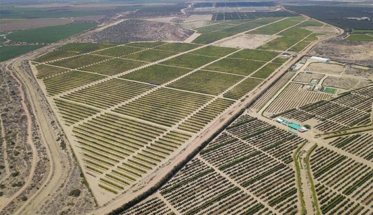 Gobierno impulsa proyecto Olmos para ampliar frontera agrícola y fortalecer agroexportaciones
