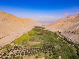 Perú participa por primera vez en cumbre mundial sobre hidrógeno en los Países Bajos Perú participa por primera vez en cumbre mundial sobre hidrógeno en los Países Bajos