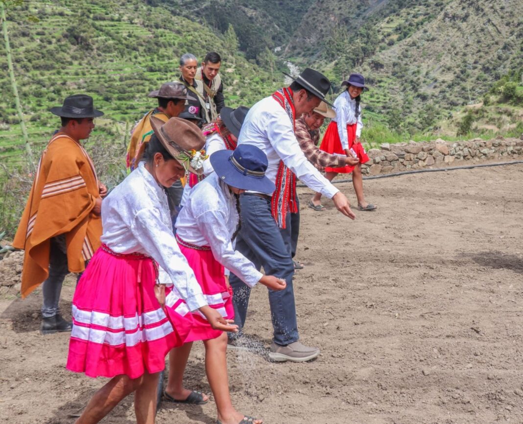 Agricultura familiar sustenta el crecimiento del agro y posiciona al Perú en mercados globales