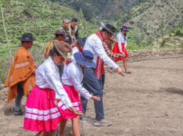 Agricultura familiar sustenta el crecimiento del agro y posiciona al Perú en mercados globales Agricultura familiar sustenta el crecimiento del agro y posiciona al Perú en mercados globales