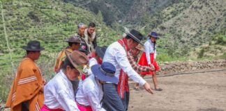 Agricultura familiar sustenta el crecimiento del agro y posiciona al Perú en mercados globales Agricultura familiar sustenta el crecimiento del agro y posiciona al Perú en mercados globales