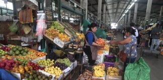Otoño trae frutas más frescas y accesibles para las familias peruanas Otoño trae frutas más frescas y accesibles para las familias peruanas