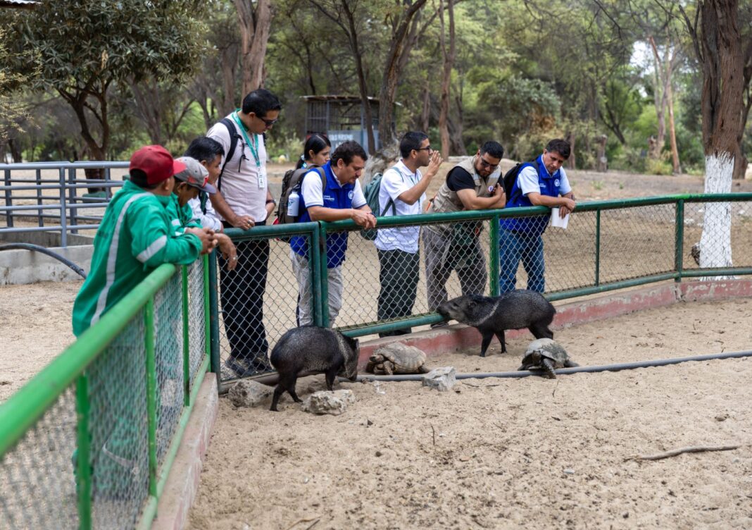 Osinfor refuerza control técnico en centros de cría de fauna silvestre en Piura