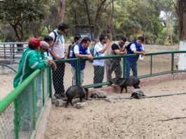 Osinfor refuerza el control técnico en centros de cría de fauna silvestre en Piura Osinfor refuerza control técnico en centros de cría de fauna silvestre en Piura