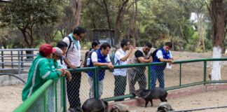 Osinfor refuerza el control técnico en centros de cría de fauna silvestre en Piura Osinfor refuerza control técnico en centros de cría de fauna silvestre en Piura