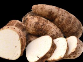 Minsa promueve el consumo de taro por sus beneficios contra enfermedades crónicas Minsa promueve el consumo de taro por sus beneficios contra enfermedades crónicas