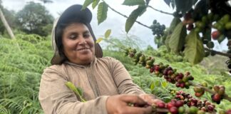 Midagri: “Impulsamos una agricultura familiar sostenible que respete el patrimonio forestal” Midagri: “Impulsamos una agricultura familiar sostenible que respete el patrimonio forestal”