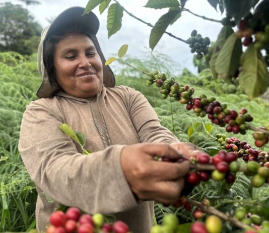 Midagri: “Impulsamos una agricultura familiar sostenible que respete el patrimonio forestal” Midagri: “Impulsamos una agricultura familiar sostenible que respete el patrimonio forestal”