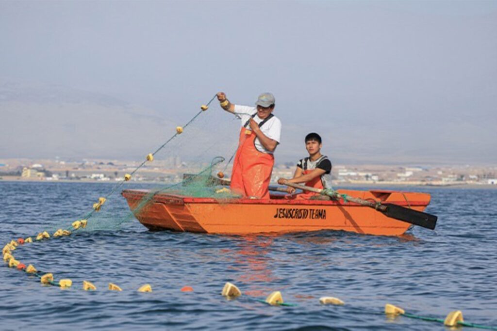 Fondepes reestructurará S/ 49.9 millones en deudas de pescadores y acuicultores a nivel nacional